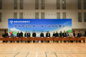 热刺 vs 富勒姆